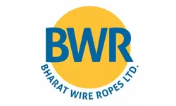 Bharat Wire